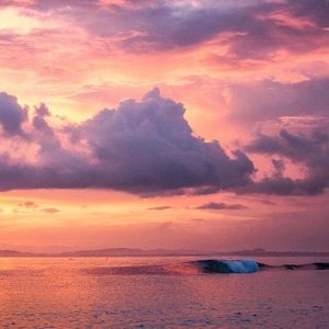 Meet your Posher, Natara